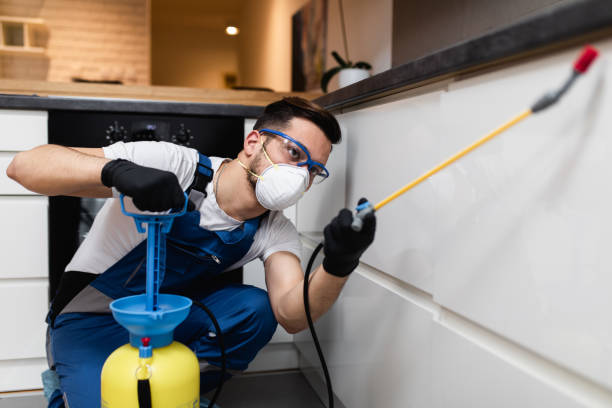 Best Emergency Pest Control  in Bayard, NE