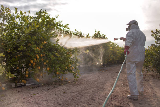 Best Wildlife Control Services  in Bayard, NE