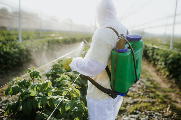 Best Bed Bug Extermination  in Bayard, NE